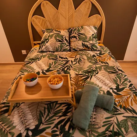 Apartment Confort ! Balneo, Sauna, Cinema, Climatisation, Parking, Wifi Carcassonne