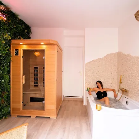 Confort ! Balneo, Sauna, Cinema, Climatisation, Parking, Wifi * Carcassonne